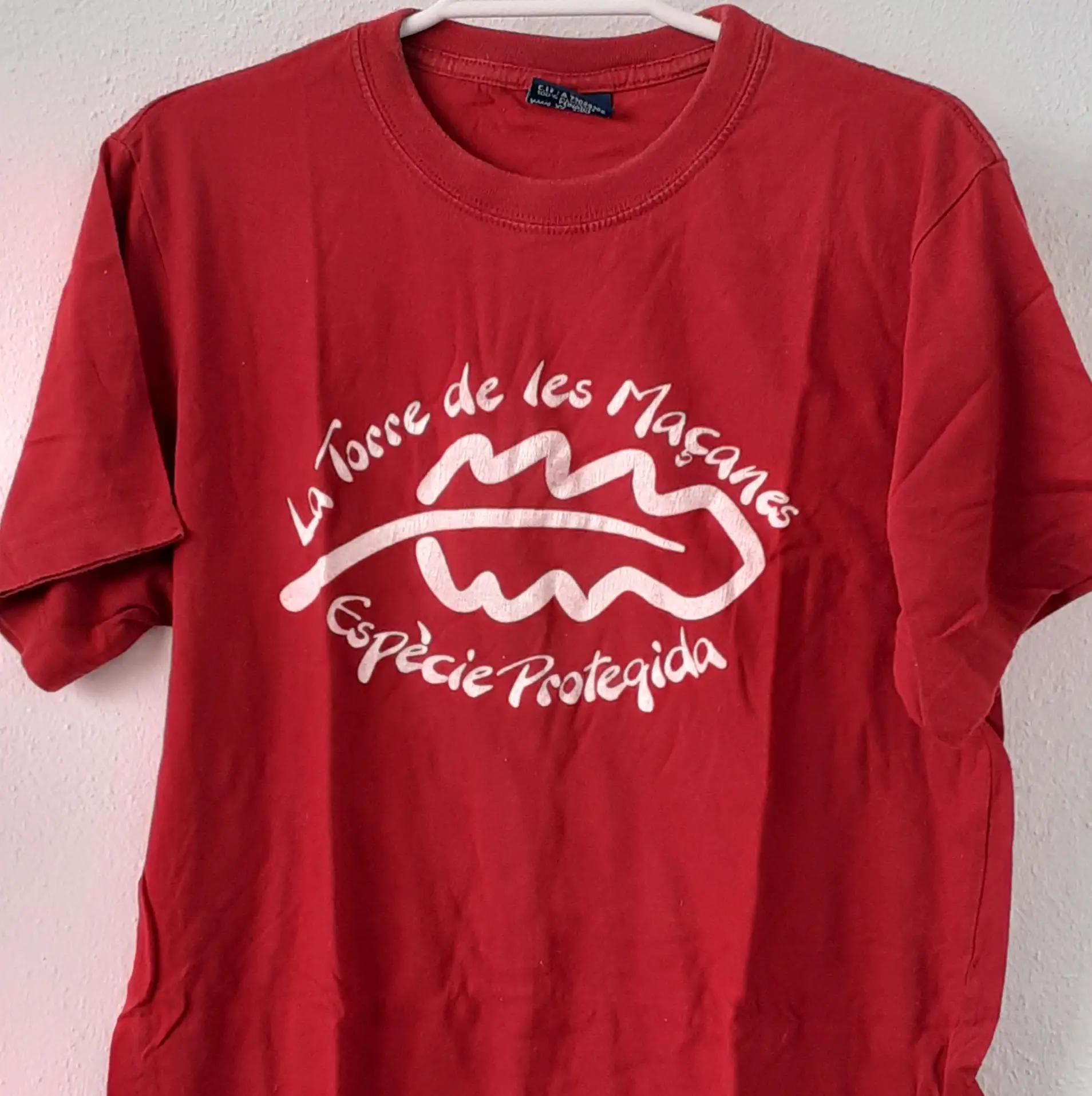 Camiseta-hombre-hoja-carrasca_resultado